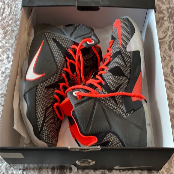 nike lebron the twelve